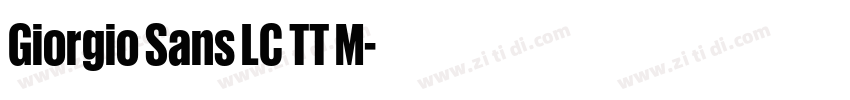 Giorgio Sans LC TT M字体转换
